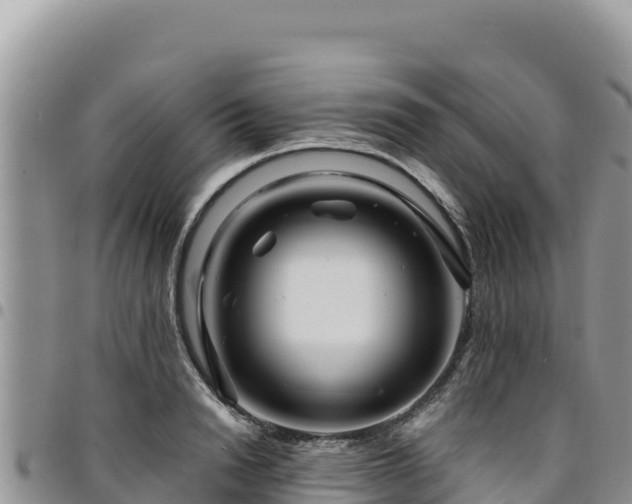 X0000094930846200711291333