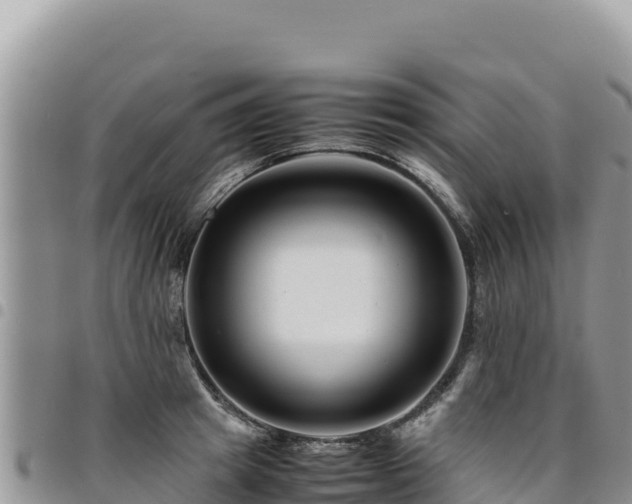 X0000094930849200711291333