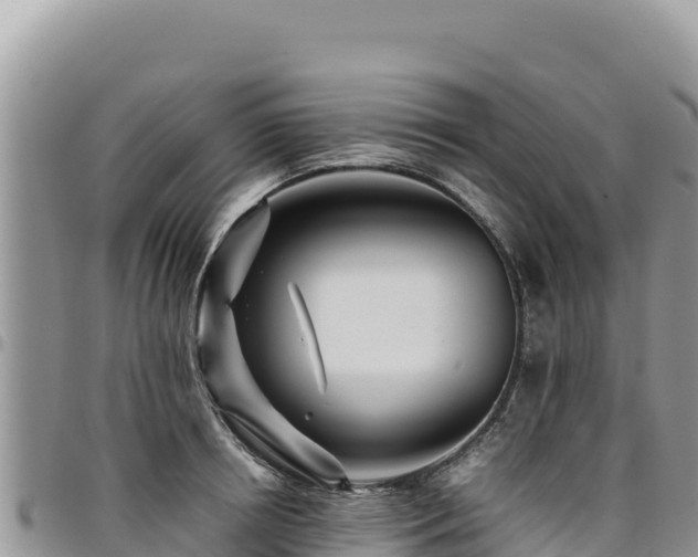 X0000094930850200711291333