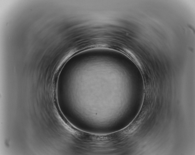 X0000094930851200711291333