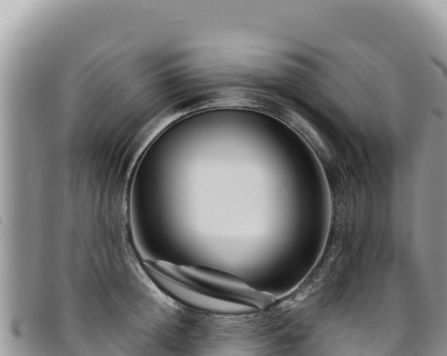 X0000094930852200711291333
