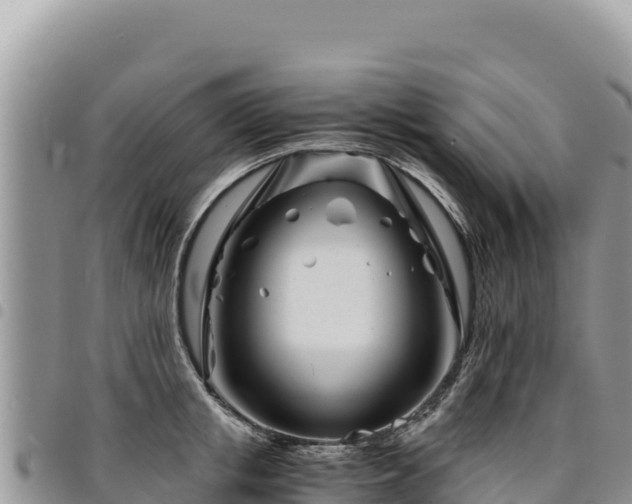 X0000094930853200711291333