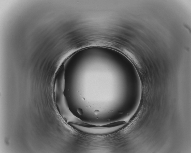 X0000094930854200711291333