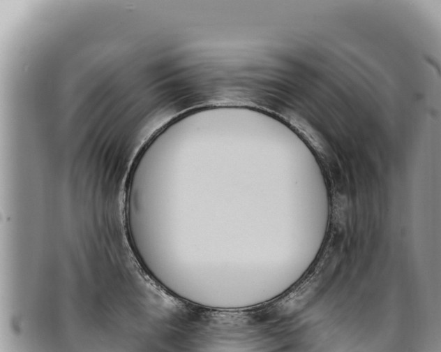 X0000094930856200711291333