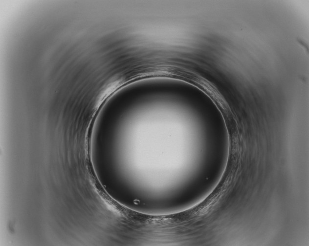 X0000094930858200711291333