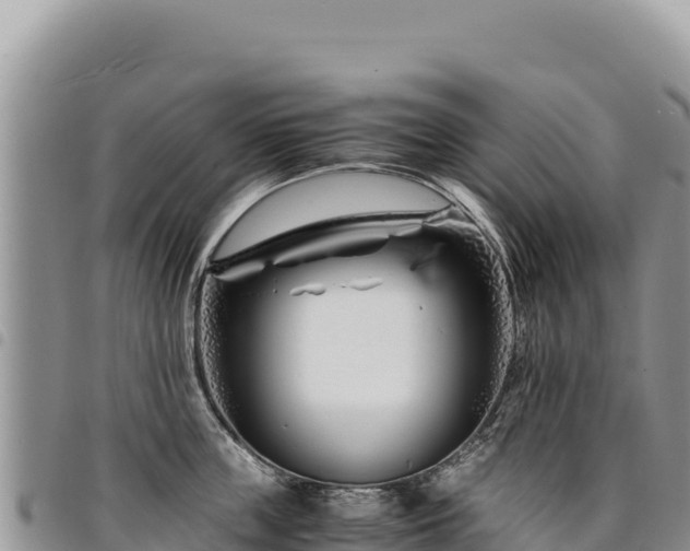 X0000094930859200711291333