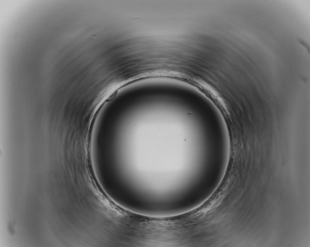 X0000094930860200711291333