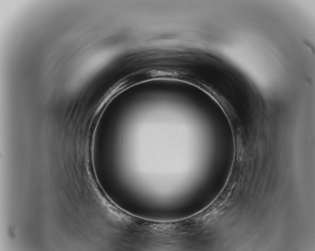X0000094930861200711291333