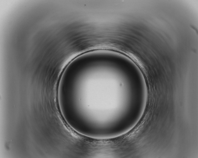 X0000094930862200711291333