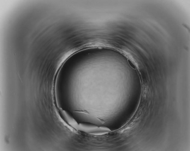 X0000094930863200711291333
