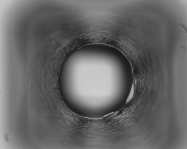 X0000094930865200711291332