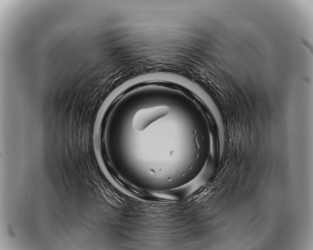 X0000094930868200711291332