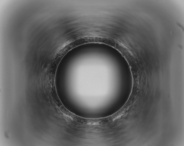 X0000094930870200711291332