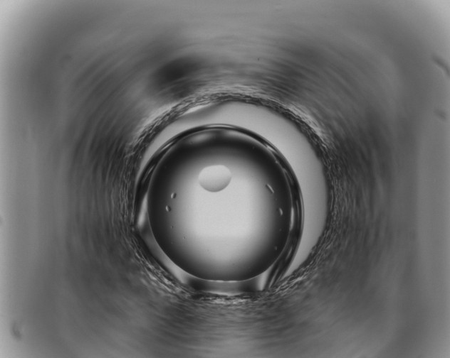 X0000094930872200711291332