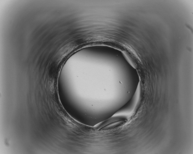 X0000094930873200711291332