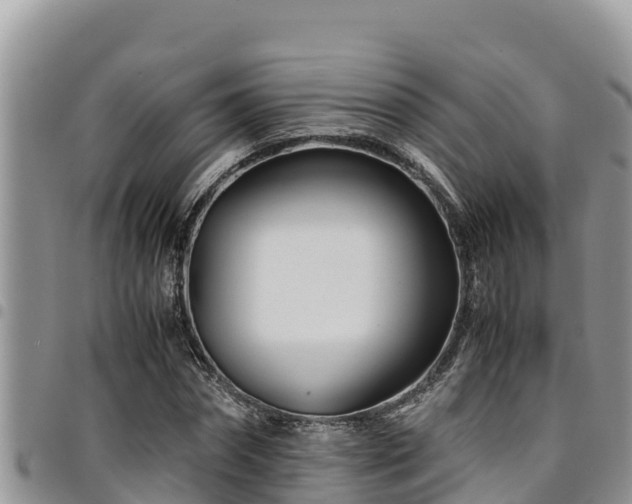 X0000094930874200711291332