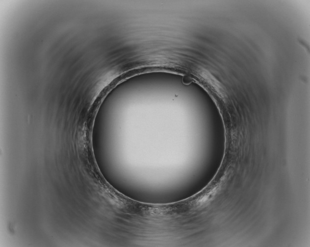 X0000094930875200711291332