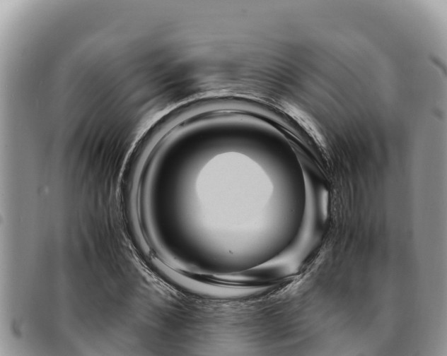 X0000094930876200711291332