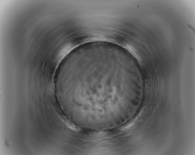 X0000094930879200711291332