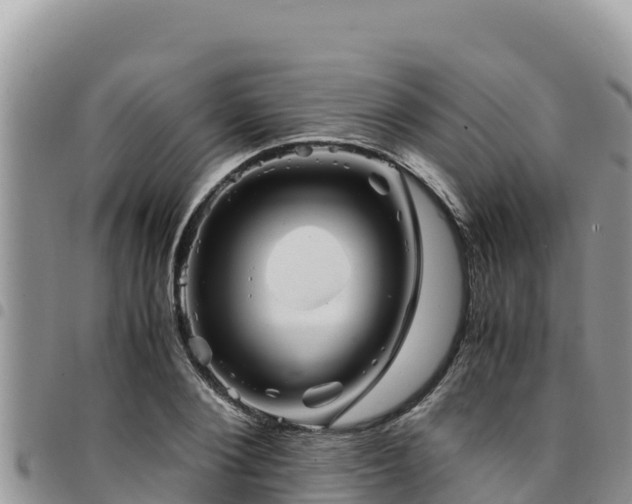 X0000094930884200711291332