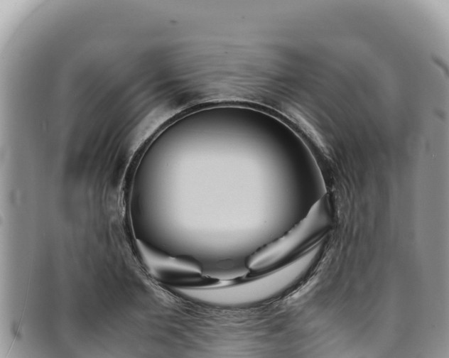 X0000094930885200711291332