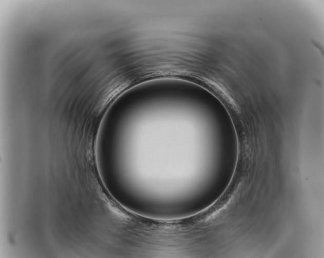 X0000094930889200711291332