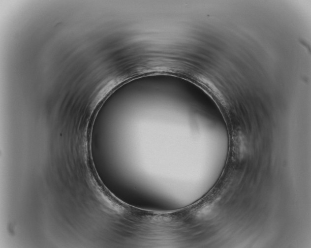 X0000094930890200711291332