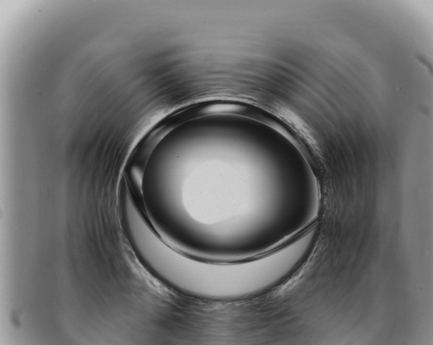 X0000094930892200711291332
