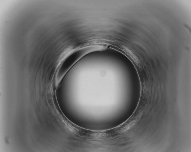 X0000094930893200711291332
