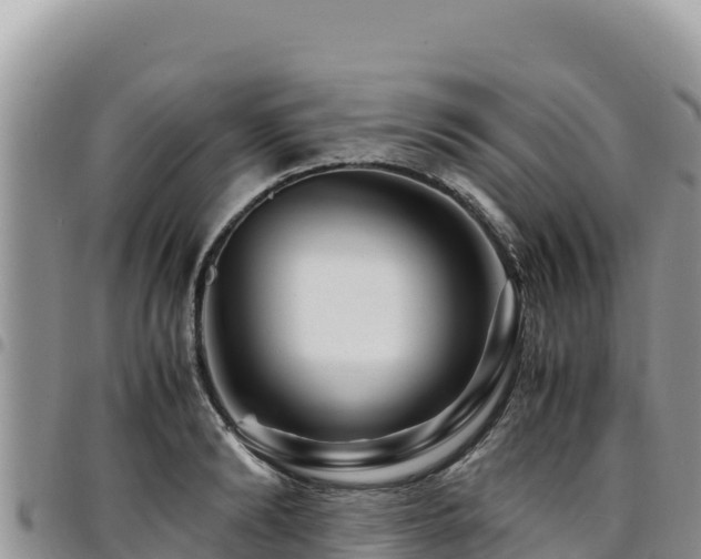 X0000094930894200711291332