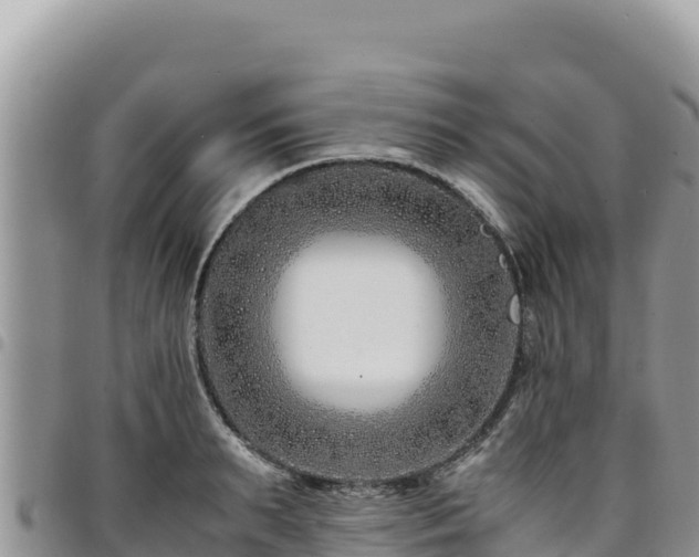 X0000094930895200711291332