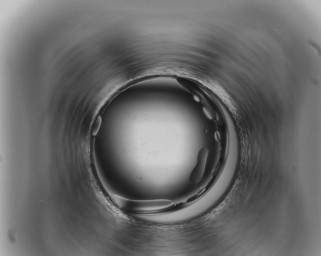 X0000094930896200711291332