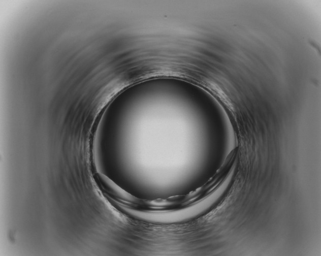 X0000094930898200711291332