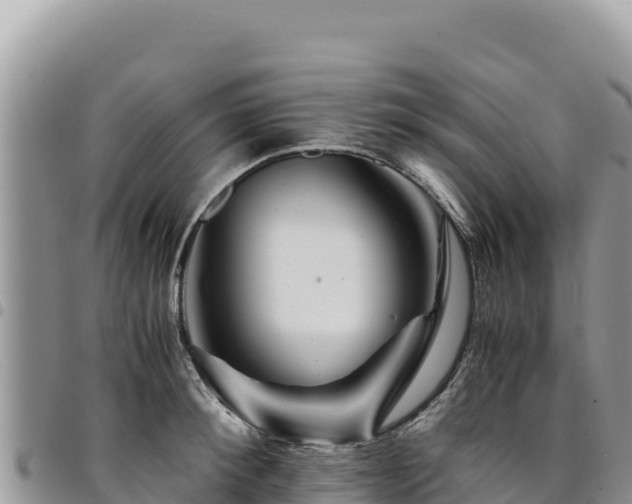 X0000094930900200711291332