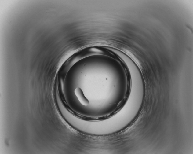 X0000094930901200711291332