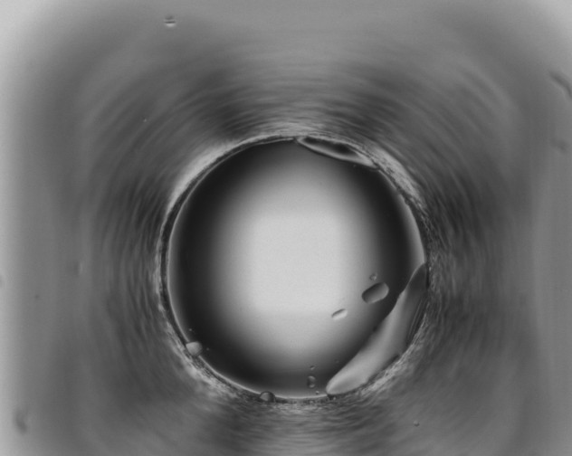 X0000094930904200711291332