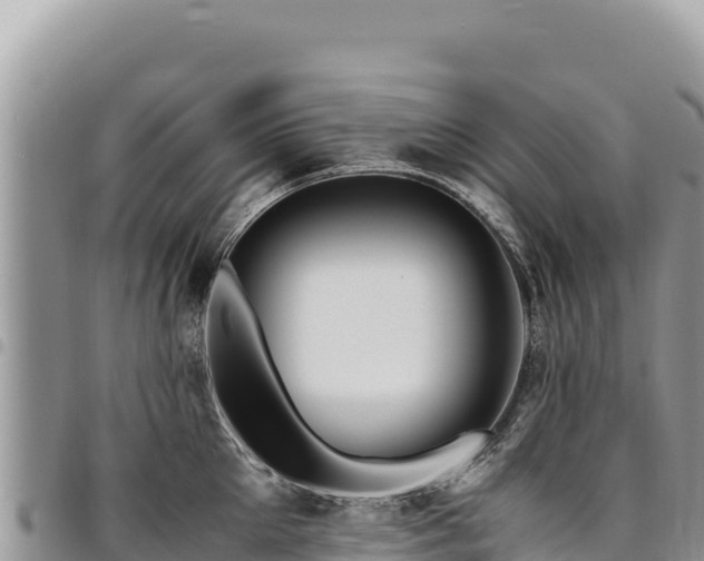 X0000094930905200711291332