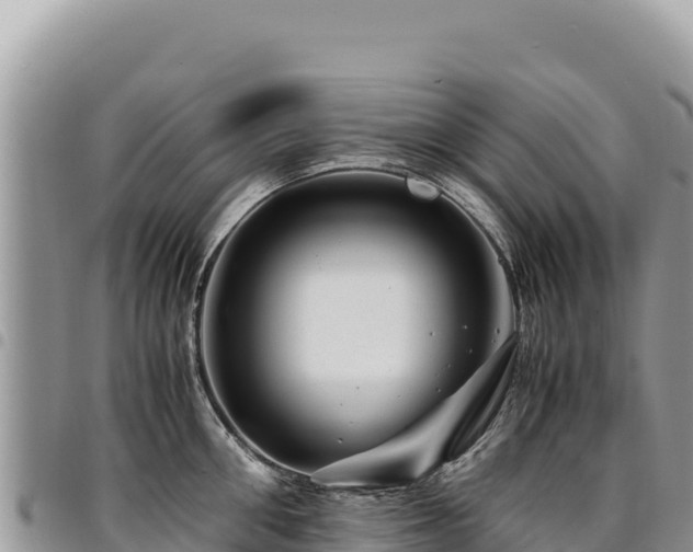 X0000094930906200711291332