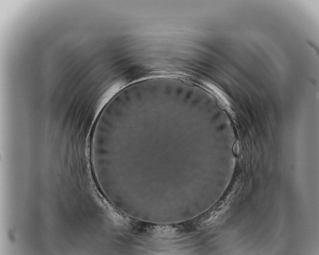 X0000094930907200711291332