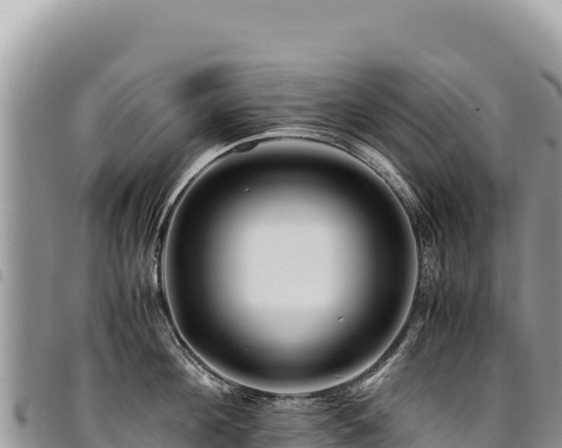 X0000094930908200711291332