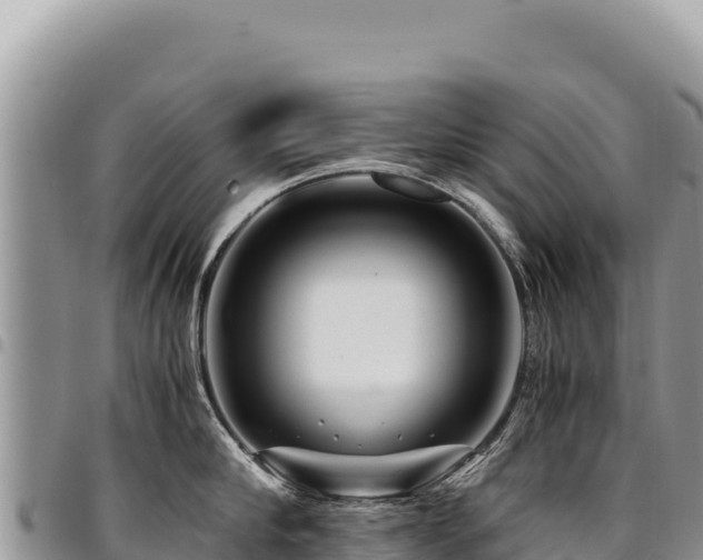 X0000094930910200711291332