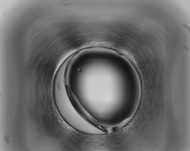 X0000094930912200711291332