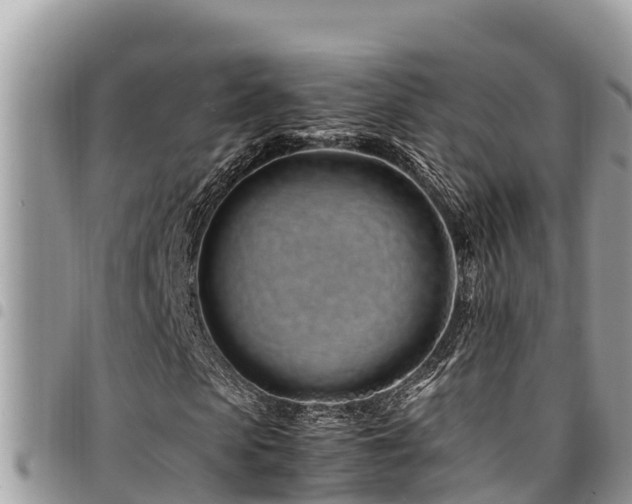 X0000094930913200711291331