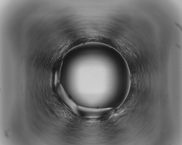 X0000094930916200711291331