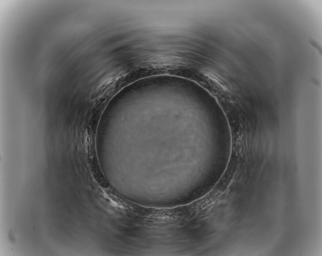 X0000094930917200711291331