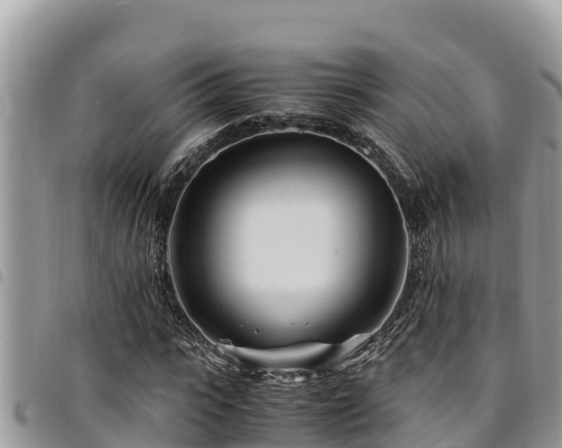 X0000094930919200711291331