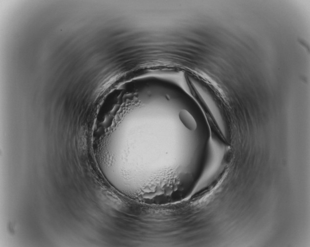 X0000094930921200711291331