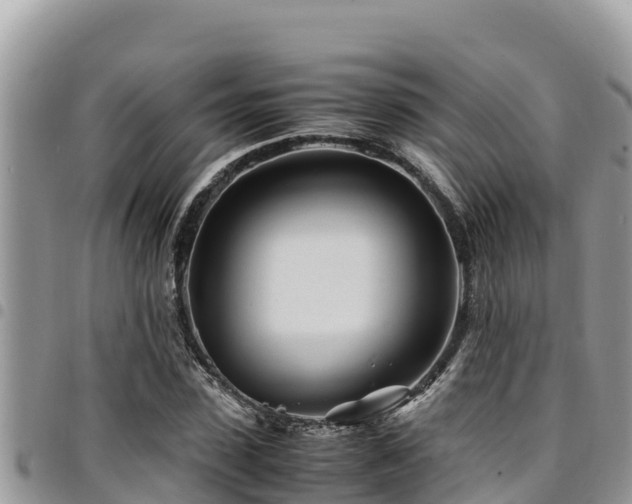 X0000094930923200711291331