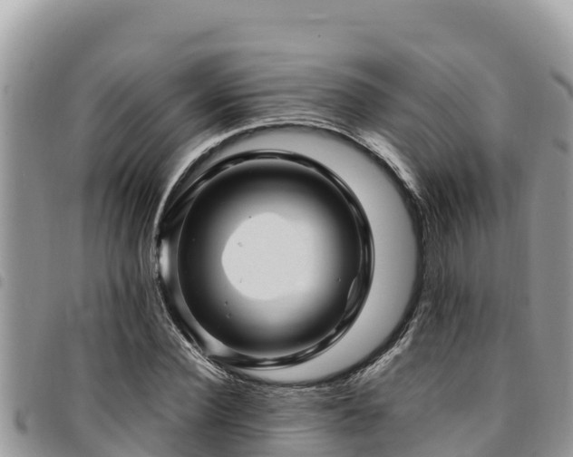 X0000094930924200711291331