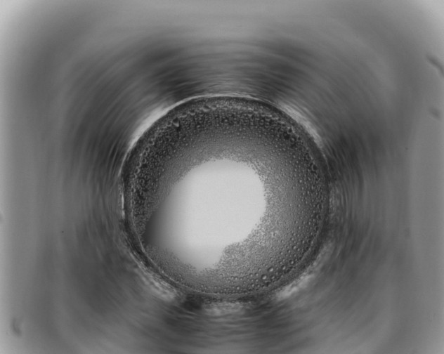 X0000094930925200711291331